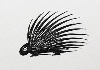 REFLECTIONS ON THE DEATH OF A PORCUPINE AND OTHER ESSAYS.
