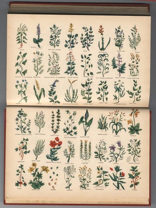 CULPEPER'S COMPLETE HERBAL, To Which is Now Added, Upwards of