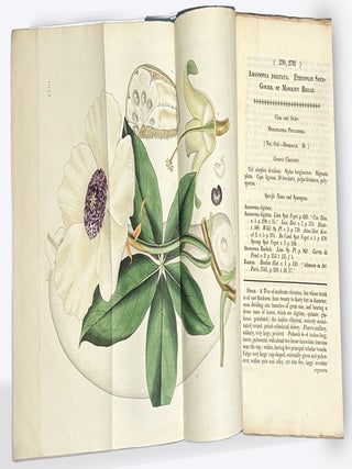 CURTIS'S BOTANICAL MAGAZINE: Or, Flower-Garden Displayed. No. XIII, New Series. January 1, 1828.