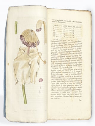 CURTIS'S BOTANICAL MAGAZINE: Or, Flower-Garden Displayed. No. XIII, New Series. January 1, 1828.