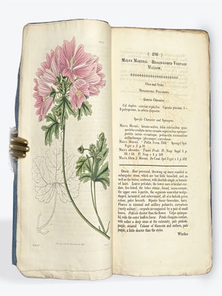 CURTIS'S BOTANICAL MAGAZINE: Or, Flower-Garden Displayed. No. XIII, New Series. January 1, 1828.