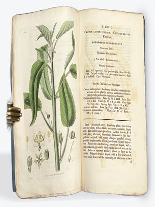 CURTIS'S BOTANICAL MAGAZINE: Or, Flower-Garden Displayed. No. XIII, New Series. January 1, 1828.