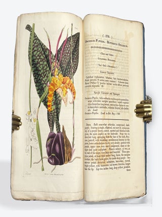 CURTIS'S BOTANICAL MAGAZINE: Or, Flower-Garden Displayed. No. XIII, New Series. January 1, 1828.