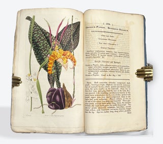 CURTIS'S BOTANICAL MAGAZINE: Or, Flower-Garden Displayed. No. XIII, New Series. January 1, 1828.