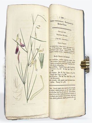 CURTIS'S BOTANICAL MAGAZINE: Or, Flower-Garden Displayed. No. XIII, New Series. January 1, 1828.