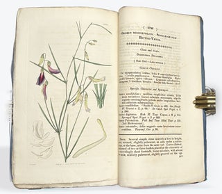 CURTIS'S BOTANICAL MAGAZINE: Or, Flower-Garden Displayed. No. XIII, New Series. January 1, 1828.