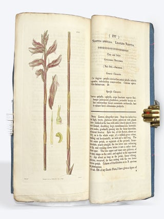 CURTIS'S BOTANICAL MAGAZINE: Or, Flower-Garden Displayed. No. XIII, New Series. January 1, 1828.
