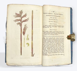 CURTIS'S BOTANICAL MAGAZINE: Or, Flower-Garden Displayed. No. XIII, New Series. January 1, 1828.