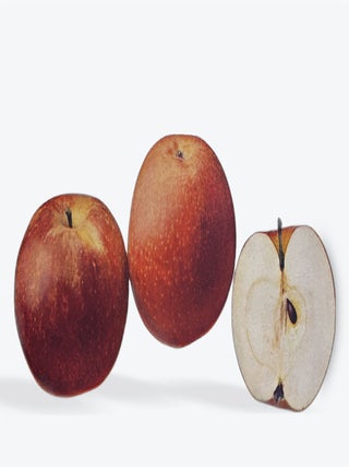 THE APPLES OF NEW YORK [Two Volumes].