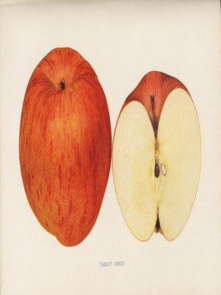 THE APPLES OF NEW YORK [Two Volumes].